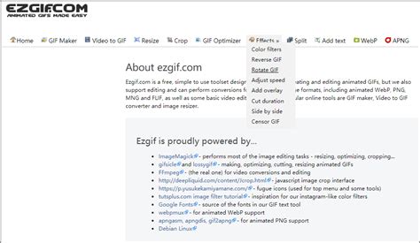 Radial GIF に対する画像結果