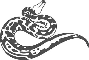 Image result for White Python Snake Graphic Logo