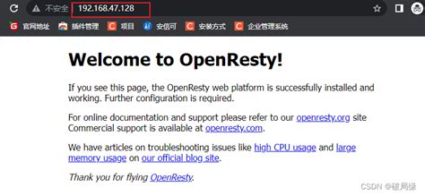 OpenResty Icon に対する画像結果