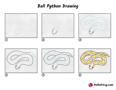 Image result for Graffiti Ball Python