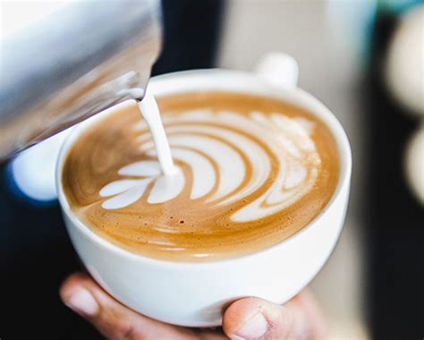 Image result for Himalayan Java Barista Coffee School