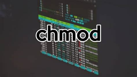 Image result for Chmod Read-Only Command