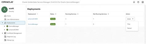 Deployed Environment に対する画像結果