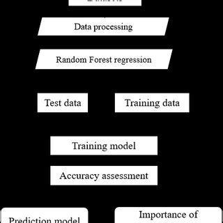 Random Forest Algorithm Flowchart に対する画像結果