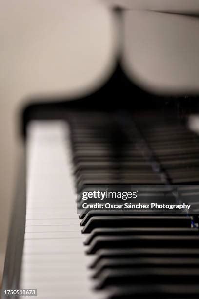 Image result for Piano Keyboard Top View