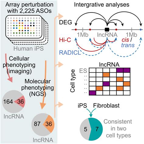Image result for Coding Scratch Symbol