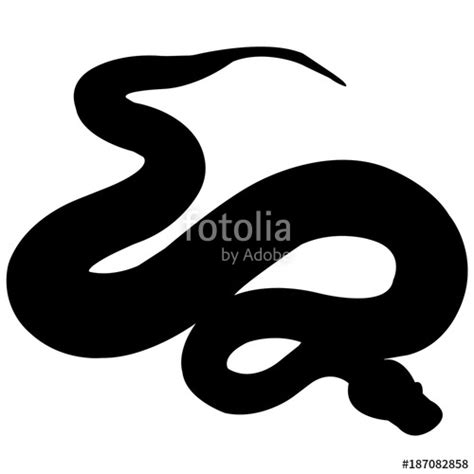 Image result for Python Vector Art
