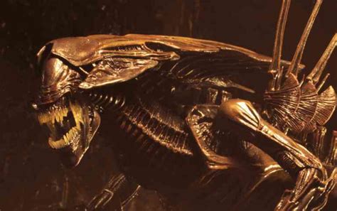Image result for Alien Resurrection Hybrid