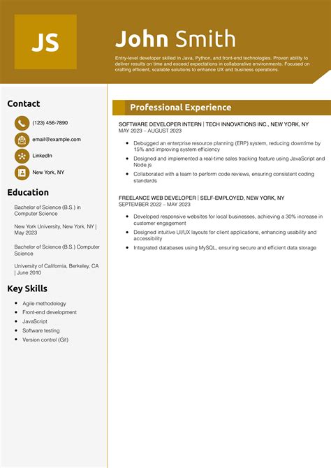 Image result for Software Developer Resume