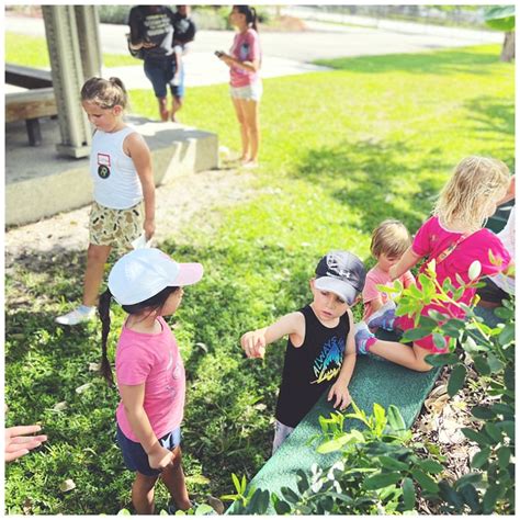 Image result for Educational Programs