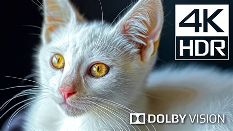 Image result for 4K Ultra HD Color