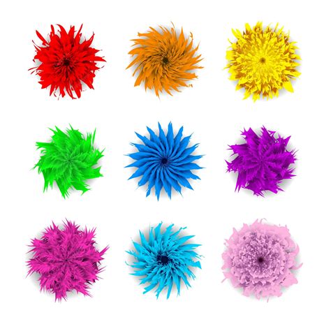 Image result for Colorful Flowers Vector