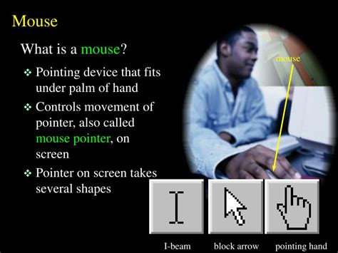 Image result for Mouse Input Device Explained CBSE