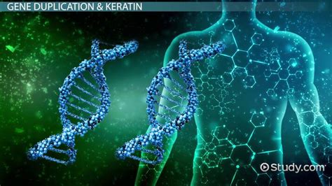 Image result for Duplication Disease