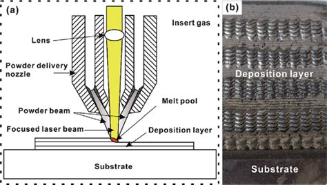 Image result for DLD Tutorials