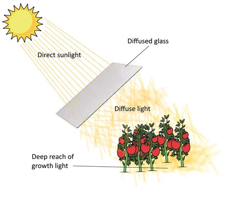 Image result for Diffuse Lighting