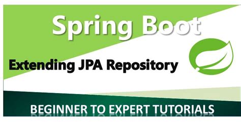 JPA Repository Spring Boot Example に対する画像結果