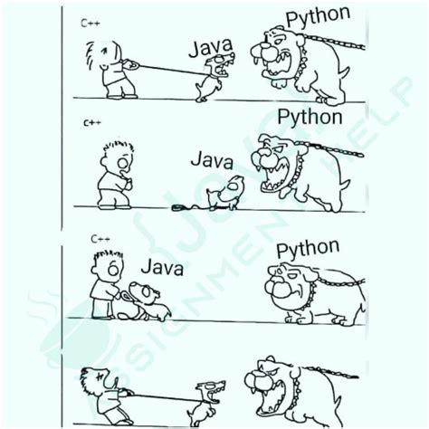Image result for C++ Java/Python HtmlButton