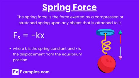 Spring Force Examples