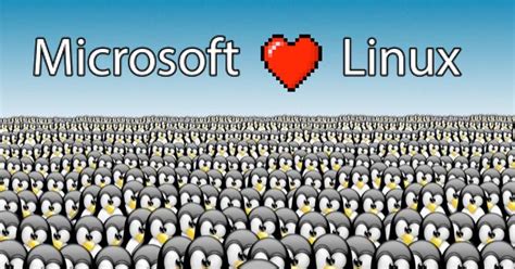 Image result for Microsoft Linux