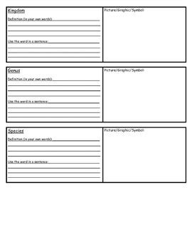 Image result for Vocabulary Classification Worksheet