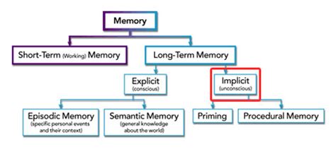 Implicit Memory System に対する画像結果