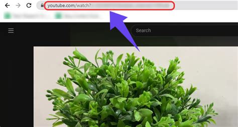 Image result for Comment Installer Win 11