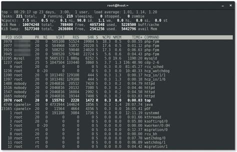 Toradh íomhá ar Top Cmd In Linux