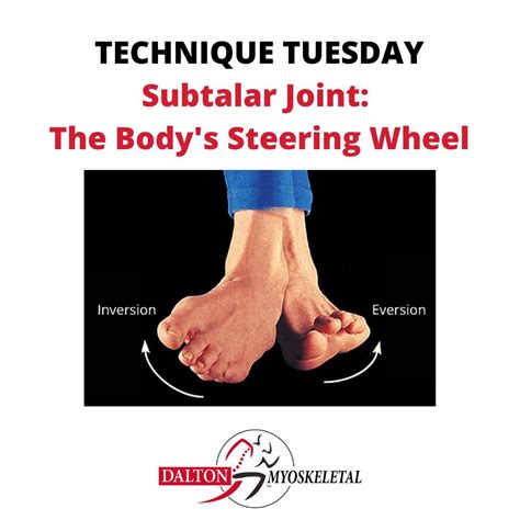 Subtalar Inversion に対する画像結果