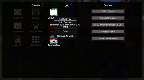 Image result for How to See You Friends On Java Edition