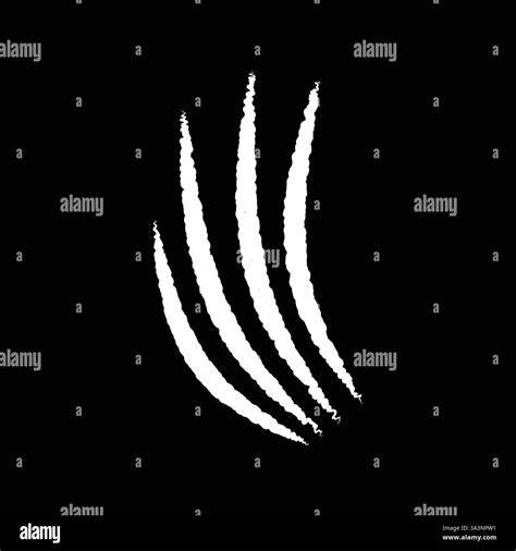 Image result for Scratch Paw Coding