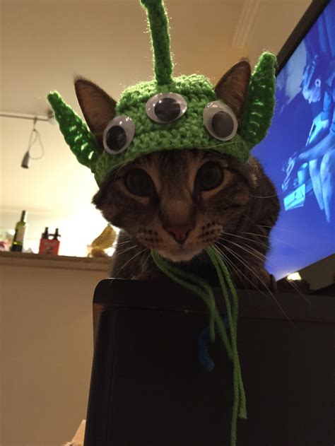 Image result for Alien Costume for Cat