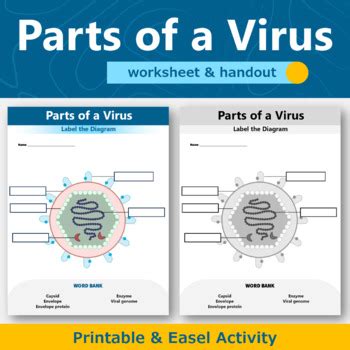 Image result for Virus Computer Worksheet Grade 4