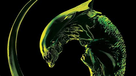 Image result for Alien Schedel