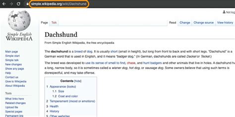 Image result for Subdomain Explained