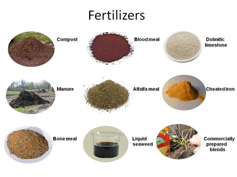 Organic Fertilizer Examples に対する画像結果