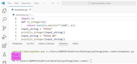 Image result for Python How to Check If Input Is an Int with True or False