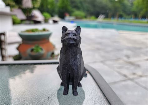 Toradh íomhá ar Low Poly Cat Model