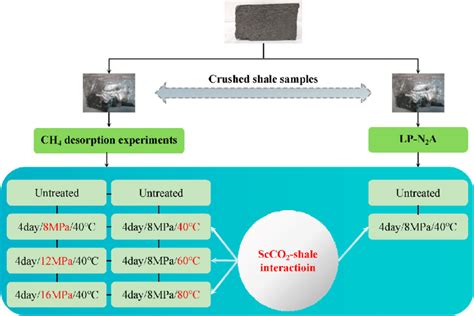Afbeeldingsresultaten voor Experiment Flow Chart