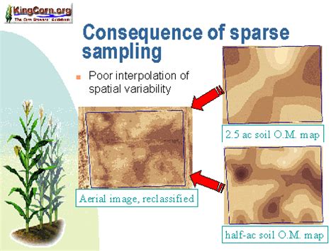 Image result for Sparse Sampling