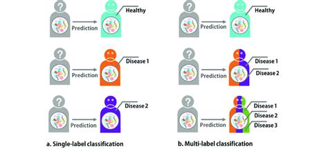 Image result for Example of Classification into Labels