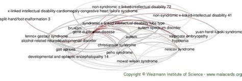 Image result for Duplication Disease
