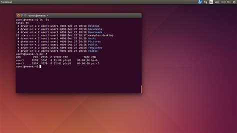 Image result for Shell Bash Terminal