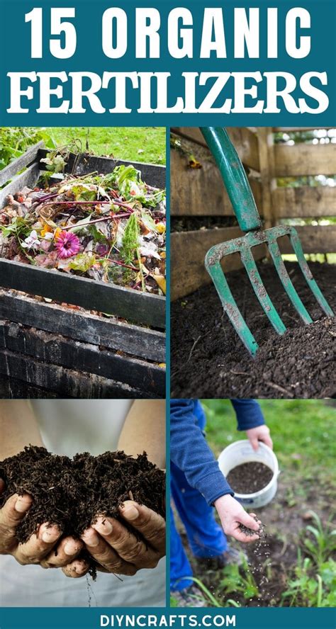 15 Organic DIY Garden Fertilizer Recipes That'll Beautify Your Garden ...
