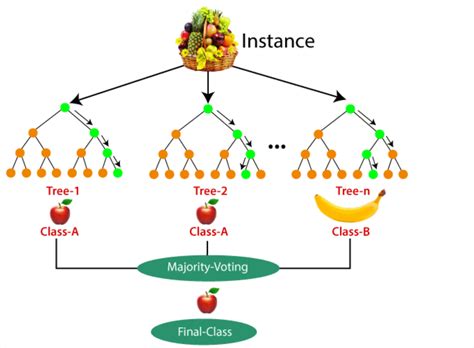 Image result for Random Forest Algorithm