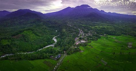 Image result for About East Java On Map