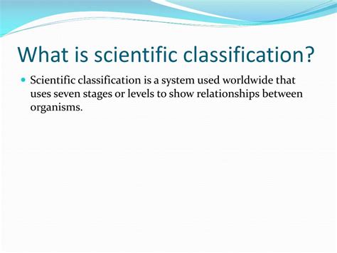 Image result for Scientific Classification