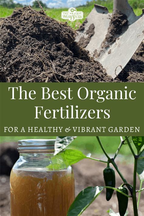 Image result for Organic Fertilizer Examples