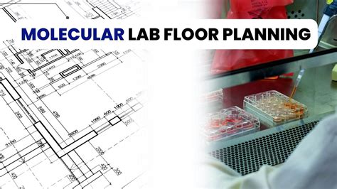 Image result for Diagnostics Lab Floor Plan