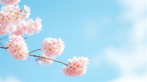 Image result for Spring Boot RoadMap